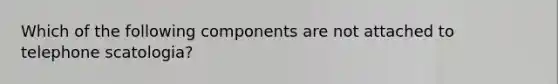 Which of the following components are not attached to telephone scatologia?