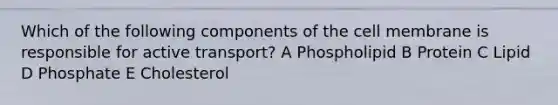 Which of the following components of the cell membrane is responsible for active transport? A Phospholipid B Protein C Lipid D Phosphate E Cholesterol