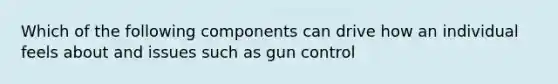 Which of the following components can drive how an individual feels about and issues such as gun control