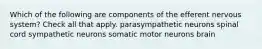 Which of the following are components of the efferent nervous system? Check all that apply. parasympathetic neurons spinal cord sympathetic neurons somatic motor neurons brain