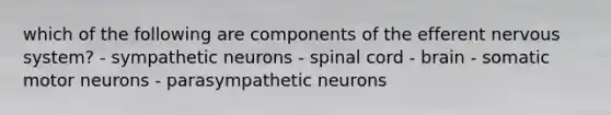 which of the following are components of the efferent nervous system? - sympathetic neurons - spinal cord - brain - somatic motor neurons - parasympathetic neurons