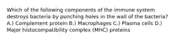 Which of the following components of the immune system destroys bacteria by punching holes in the wall of the bacteria? A.) Complement protein B.) Macrophages C.) Plasma cells D.) Major histocompatibility complex (MHC) proteins