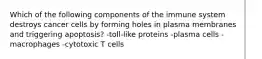 Which of the following components of the immune system destroys cancer cells by forming holes in plasma membranes and triggering apoptosis? -toll-like proteins -plasma cells -macrophages -cytotoxic T cells