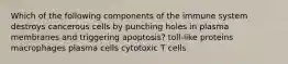 Which of the following components of the immune system destroys cancerous cells by punching holes in plasma membranes and triggering apoptosis? toll-like proteins macrophages plasma cells cytotoxic T cells