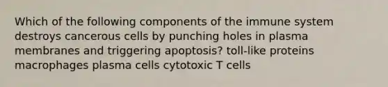 Which of the following components of the immune system destroys cancerous cells by punching holes in plasma membranes and triggering apoptosis? toll-like proteins macrophages plasma cells cytotoxic T cells