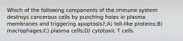 Which of the following components of the immune system destroys cancerous cells by punching holes in plasma membranes and triggering apoptosis?;A) toll-like proteins;B) macrophages;C) plasma cells;D) cytotoxic T cells