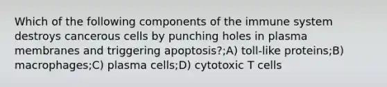 Which of the following components of the immune system destroys cancerous cells by punching holes in plasma membranes and triggering apoptosis?;A) toll-like proteins;B) macrophages;C) plasma cells;D) cytotoxic T cells