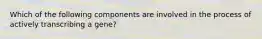 Which of the following components are involved in the process of actively transcribing a gene?