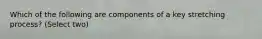 Which of the following are components of a key stretching process? (Select two)