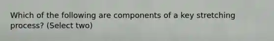 Which of the following are components of a key stretching process? (Select two)