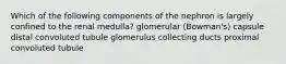 Which of the following components of the nephron is largely confined to the renal medulla? glomerular (Bowman's) capsule distal convoluted tubule glomerulus collecting ducts proximal convoluted tubule