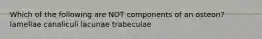 Which of the following are NOT components of an osteon? lamellae canaliculi lacunae trabeculae