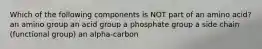 Which of the following components is NOT part of an amino acid? an amino group an acid group a phosphate group a side chain (functional group) an alpha-carbon