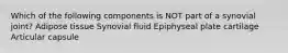 Which of the following components is NOT part of a synovial joint? Adipose tissue Synovial fluid Epiphyseal plate cartilage Articular capsule