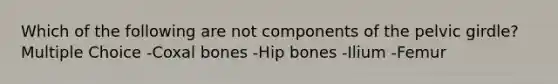 Which of the following are not components of the pelvic girdle? Multiple Choice -Coxal bones -Hip bones -Ilium -Femur