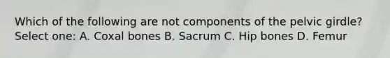 Which of the following are not components of the pelvic girdle? Select one: A. Coxal bones B. Sacrum C. Hip bones D. Femur