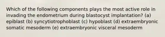 Which of the following components plays the most active role in invading the endometrium during blastocyst implantation? (a) epiblast (b) syncytiotrophoblast (c) hypoblast (d) extraembryonic somatic mesoderm (e) extraembryonic visceral mesoderm