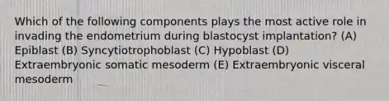 Which of the following components plays the most active role in invading the endometrium during blastocyst implantation? (A) Epiblast (B) Syncytiotrophoblast (C) Hypoblast (D) Extraembryonic somatic mesoderm (E) Extraembryonic visceral mesoderm