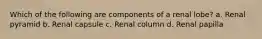 Which of the following are components of a renal lobe? a. Renal pyramid b. Renal capsule c. Renal column d. Renal papilla