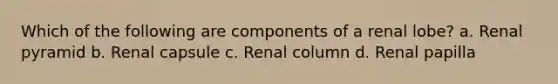 Which of the following are components of a renal lobe? a. Renal pyramid b. Renal capsule c. Renal column d. Renal papilla