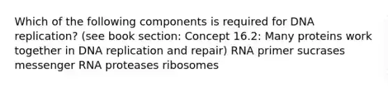 Which of the following components is required for DNA replication? (see book section: Concept 16.2: Many proteins work together in DNA replication and repair) RNA primer sucrases messenger RNA proteases ribosomes