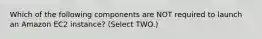 Which of the following components are NOT required to launch an Amazon EC2 instance? (Select TWO.)