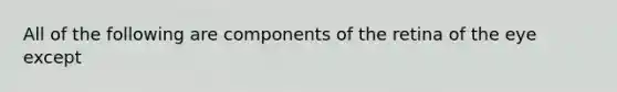 All of the following are components of the retina of the eye except