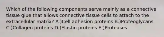 Which of the following components serve mainly as a connective tissue glue that allows connective tissue cells to attach to the extracellular matrix? A.)Cell adhesion proteins B.)Proteoglycans C.)Collagen proteins D.)Elastin proteins E.)Proteases