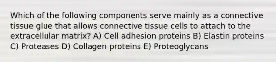 Which of the following components serve mainly as a connective tissue glue that allows connective tissue cells to attach to the extracellular matrix? A) Cell adhesion proteins B) Elastin proteins C) Proteases D) Collagen proteins E) Proteoglycans