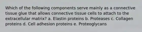 Which of the following components serve mainly as a <a href='https://www.questionai.com/knowledge/kYDr0DHyc8-connective-tissue' class='anchor-knowledge'>connective tissue</a> glue that allows connective tissue cells to attach to the extracellular matrix? a. Elastin proteins b. Proteases c. Collagen proteins d. Cell adhesion proteins e. Proteoglycans