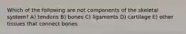 Which of the following are not components of the skeletal system? A) tendons B) bones C) ligaments D) cartilage E) other tissues that connect bones