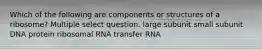 Which of the following are components or structures of a ribosome? Multiple select question. large subunit small subunit DNA protein ribosomal RNA transfer RNA