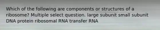 Which of the following are components or structures of a ribosome? Multiple select question. large subunit small subunit DNA protein ribosomal RNA transfer RNA