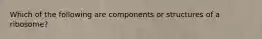 Which of the following are components or structures of a ribosome?