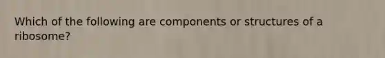 Which of the following are components or structures of a ribosome?