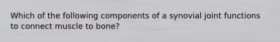 Which of the following components of a synovial joint functions to connect muscle to bone?