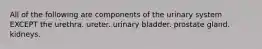 All of the following are components of the urinary system EXCEPT the urethra. ureter. urinary bladder. prostate gland. kidneys.