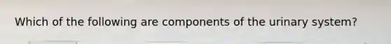 Which of the following are components of the urinary system?