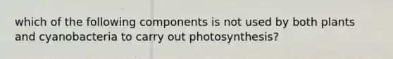 which of the following components is not used by both plants and cyanobacteria to carry out photosynthesis?