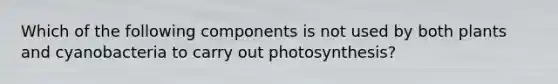 Which of the following components is not used by both plants and cyanobacteria to carry out photosynthesis?