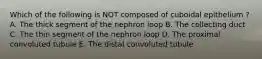 Which of the following is NOT composed of cuboidal epithelium ? A. The thick segment of the nephron loop B. The collecting duct C. The thin segment of the nephron loop D. The proximal convoluted tubule E. The distal convoluted tubule