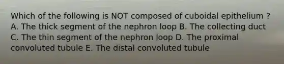 Which of the following is NOT composed of cuboidal epithelium ? A. The thick segment of the nephron loop B. The collecting duct C. The thin segment of the nephron loop D. The proximal convoluted tubule E. The distal convoluted tubule