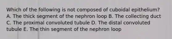 Which of the following is not composed of cuboidal epithelium? A. The thick segment of the nephron loop B. The collecting duct C. The proximal convoluted tubule D. The distal convoluted tubule E. The thin segment of the nephron loop