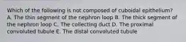 Which of the following is not composed of cuboidal epithelium? A. The thin segment of the nephron loop B. The thick segment of the nephron loop C. The collecting duct D. The proximal convoluted tubule E. The distal convoluted tubule