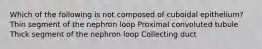 Which of the following is not composed of cuboidal epithelium? Thin segment of the nephron loop Proximal convoluted tubule Thick segment of the nephron loop Collecting duct