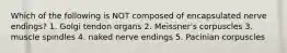 Which of the following is NOT composed of encapsulated nerve endings? 1. Golgi tendon organs 2. Meissner's corpuscles 3. muscle spindles 4. naked nerve endings 5. Pacinian corpuscles