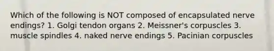 Which of the following is NOT composed of encapsulated nerve endings? 1. Golgi tendon organs 2. Meissner's corpuscles 3. muscle spindles 4. naked nerve endings 5. Pacinian corpuscles