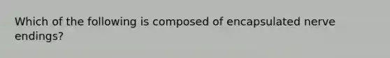 Which of the following is composed of encapsulated nerve endings?