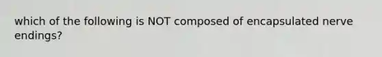 which of the following is NOT composed of encapsulated nerve endings?