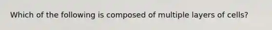 Which of the following is composed of multiple layers of cells?